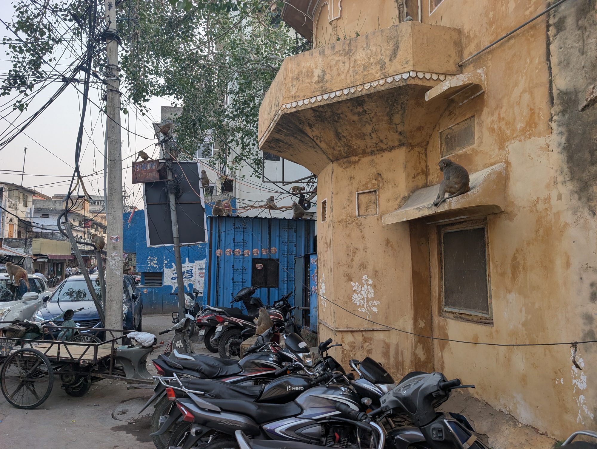 India